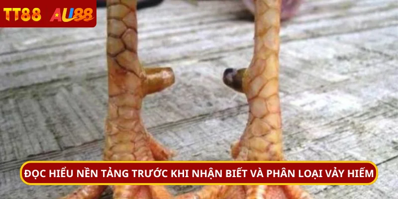 Đọc hiểu nền tảng trước khi nhận biết và phân loại vảy hiếm