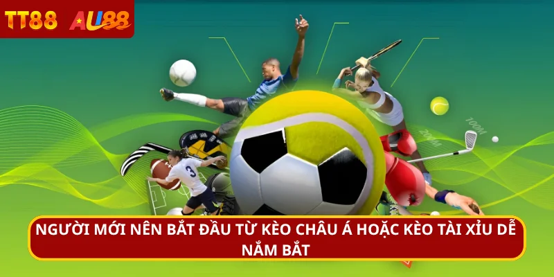 Người mới nên bắt đầu từ kèo châu Á hoặc kèo tài xỉu dễ nắm bắt